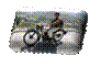 3senalesuc4b.gif